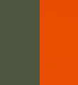 farbe-gruen-orange