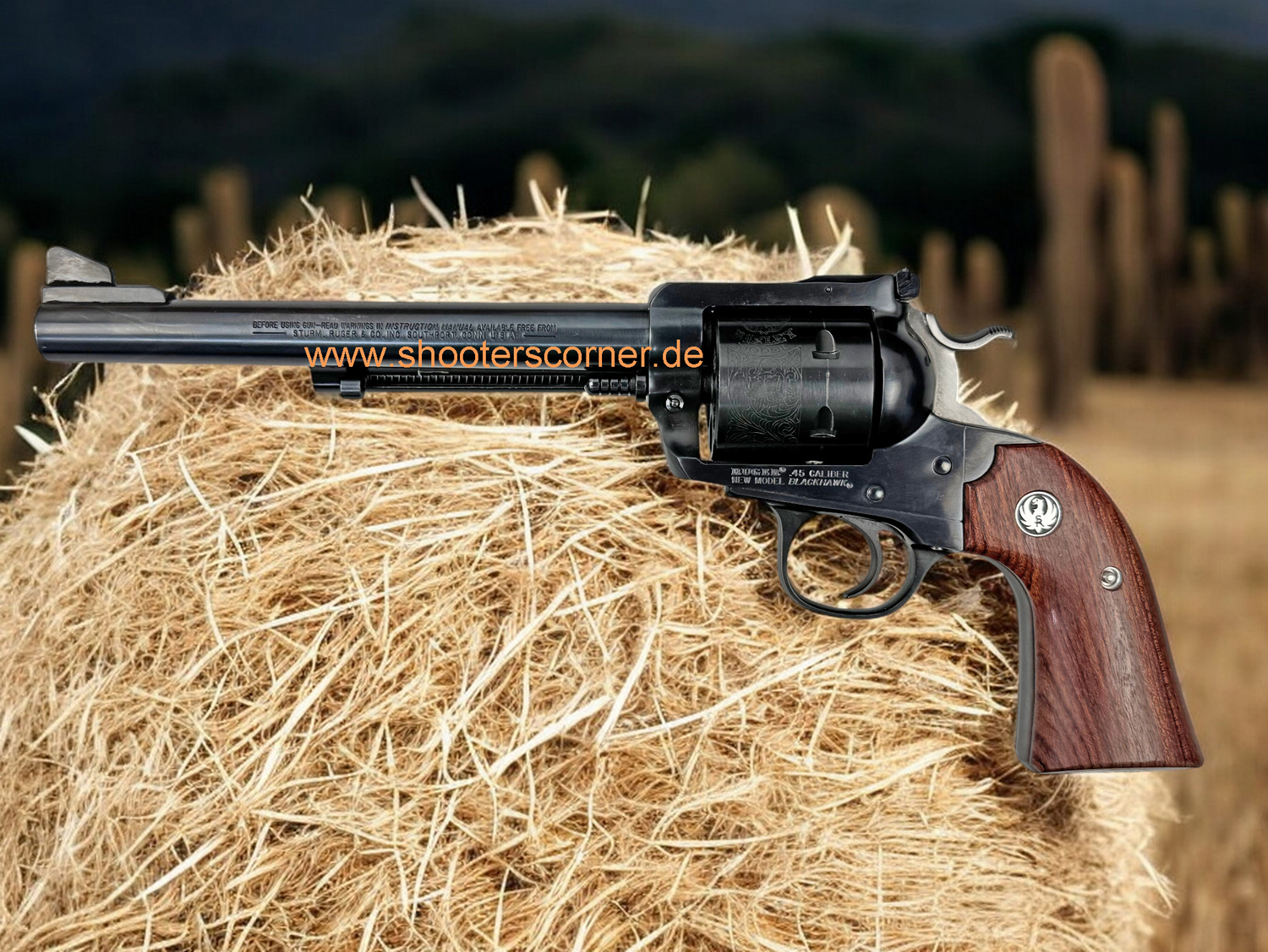 204880_ruger-blackhawk-bisley-kal-.45-colt_1