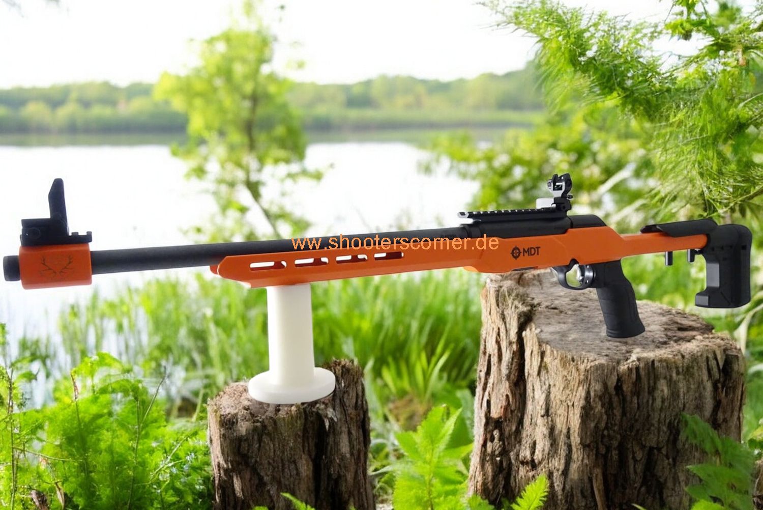 205170_savage-a22-precision-mdt-.22lr_1