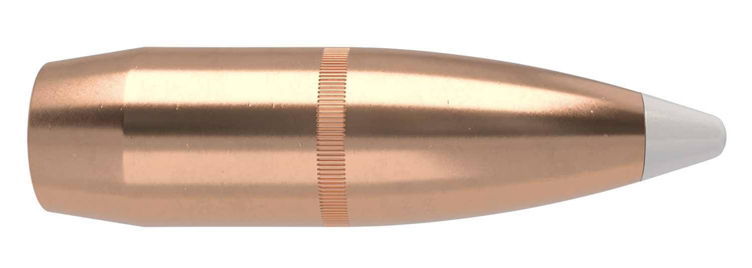 204302_nosler-accubomd-9,3mm-250grs-spitzer-bt_2