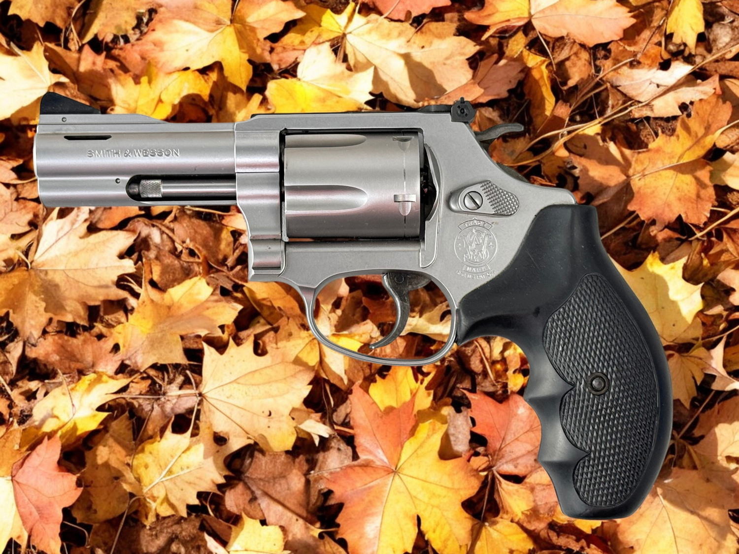 205243_smith+wesson-mod-6o-10-357-mag_1