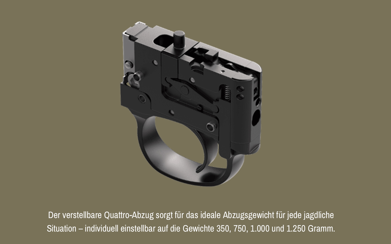 205330_sauer-505-synchro-xt-outback-kal-8,5x55_7